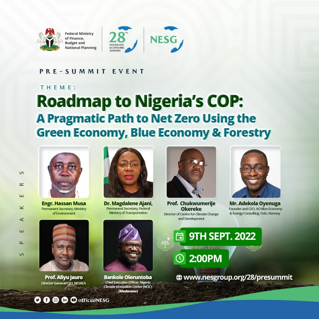 Nigeria's Path to Net Zero Using the Green Economy, Blue Economy & Forestry,  The Nigerian Economic Summit Group